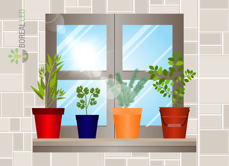 horta dentro de casa